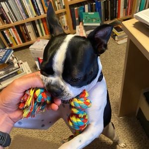 Meet your Posher, Gale